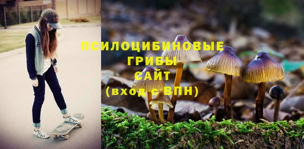 стаф Наволоки