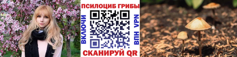 Галлюциногенные грибы MAGIC MUSHROOMS  Купить  Ярославль 