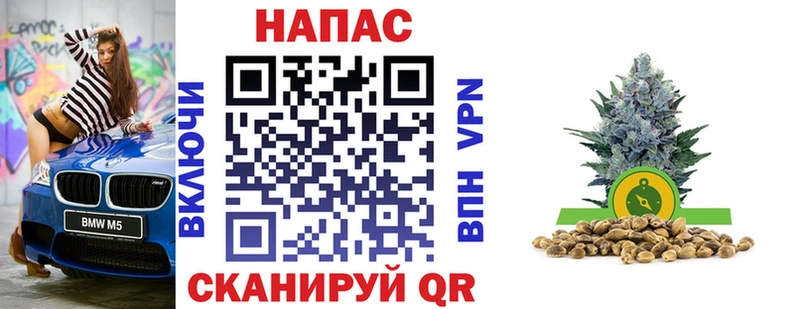Купить  Ярославль  Марихуана индика